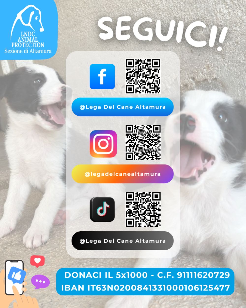 Seguici sui social!